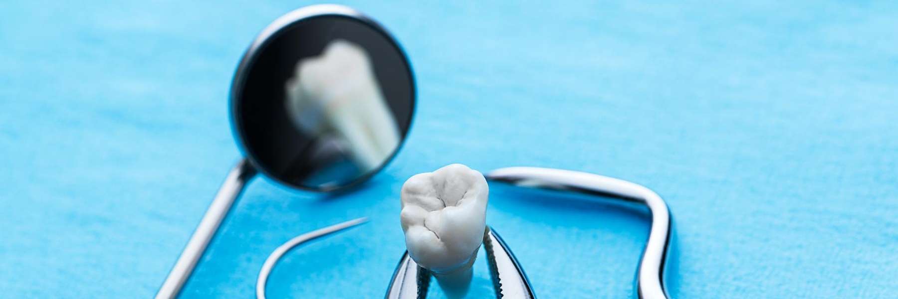 Extracted tooth and dental materials in Mt Pleasant